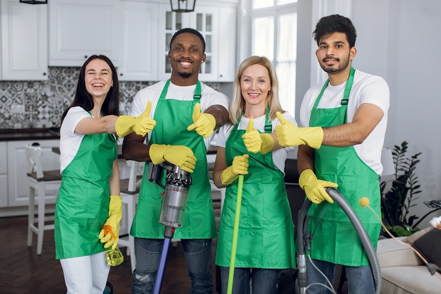 Professional Cleaner