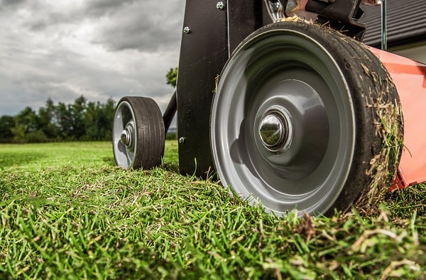Lawn Maintenance