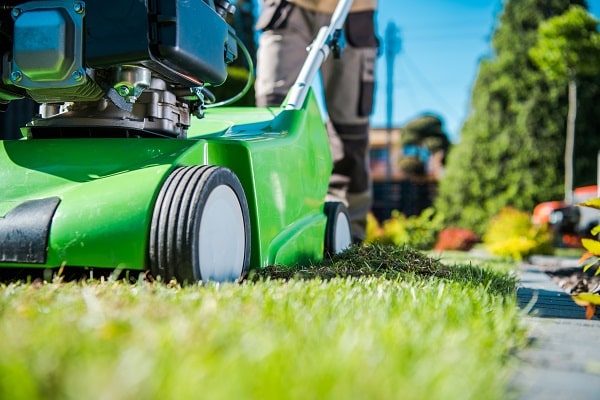 Lawn Maintenance