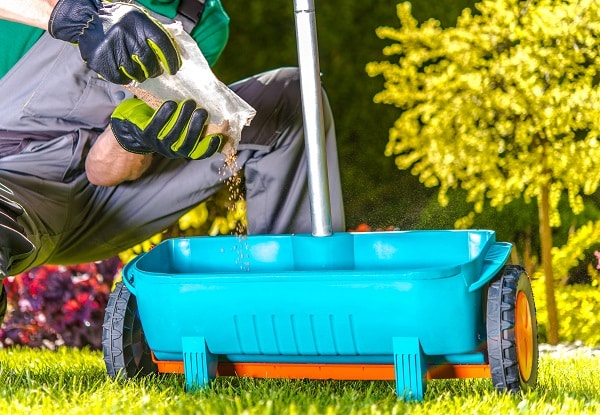 Lawn Maintenance