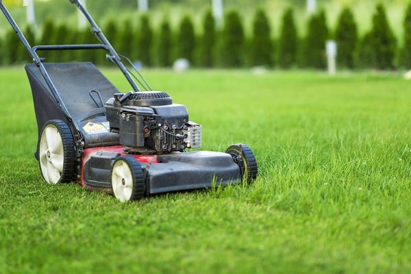 Lawn