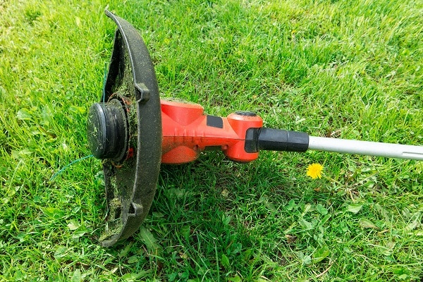 Lawn