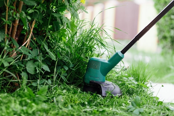 Lawn