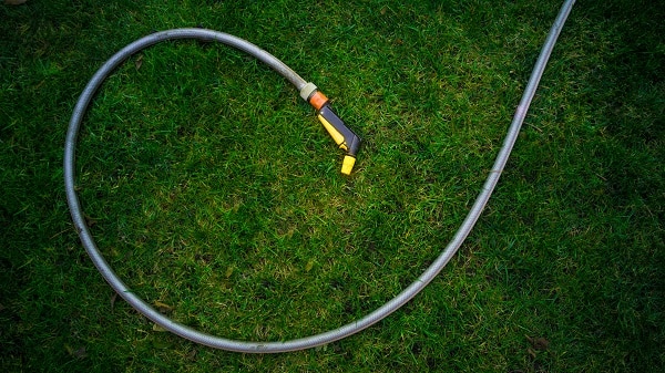 Lawn