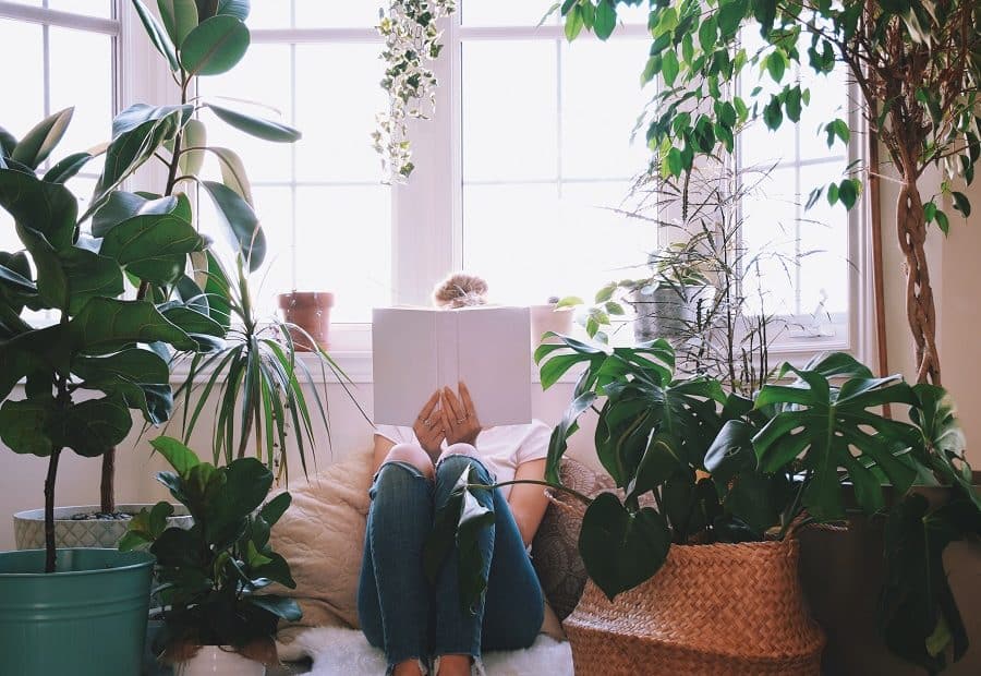 Reading Nook