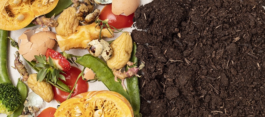 Composting With Coffee Grounds