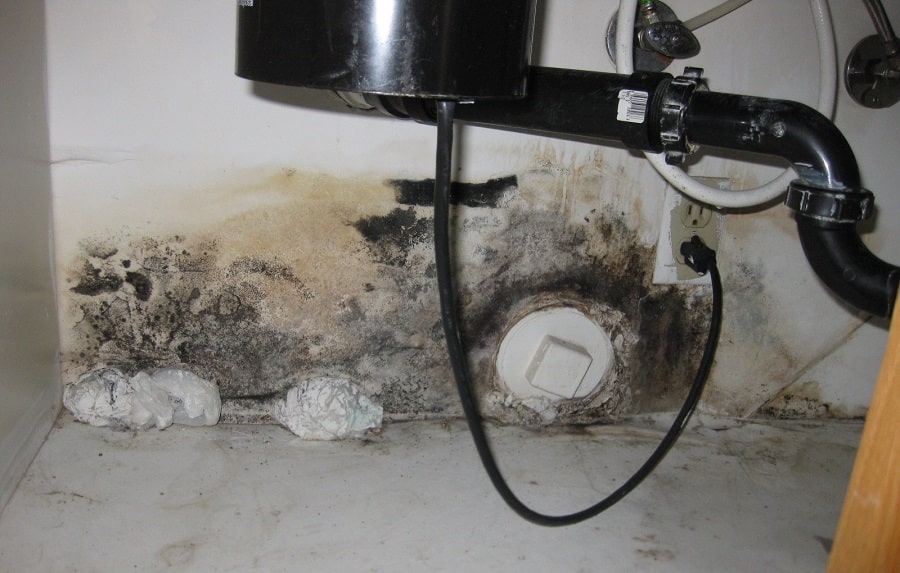 How To Deal With Leaky Pipes And Mold Problems