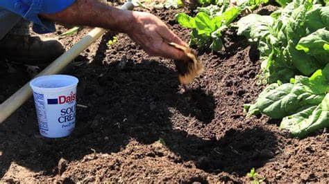 Tips For Composting With Coffee Grounds