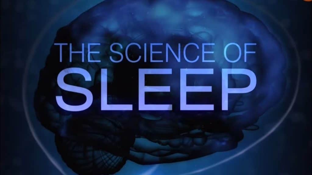 The Role Of Diet In Sleep Quality