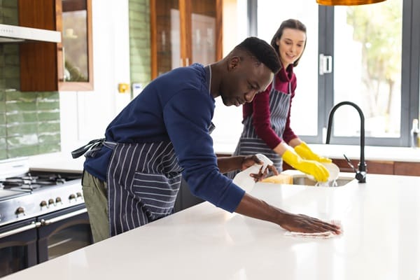 Organic Cleaning Products