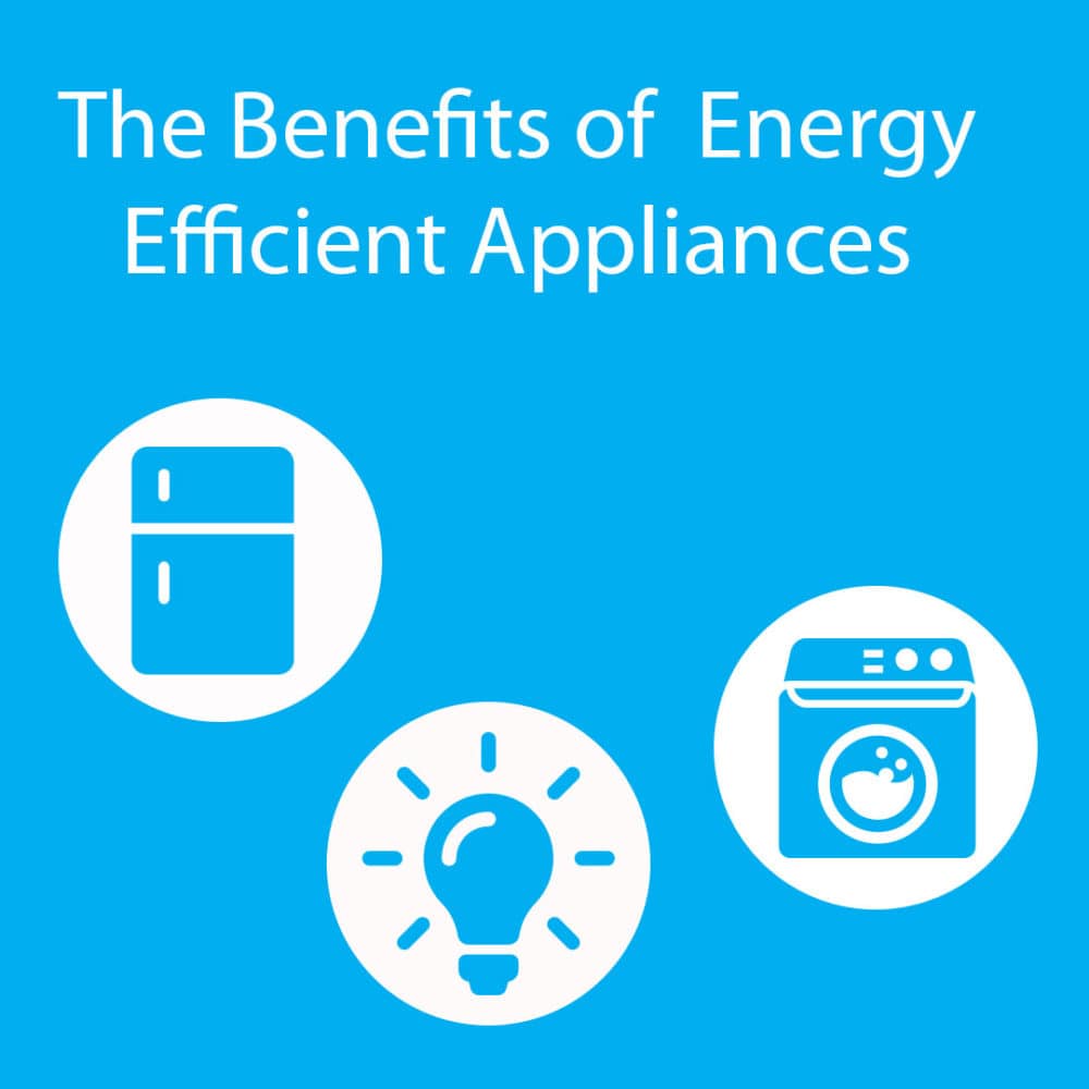 Energy Efficiency 101: Simple Steps to Lower Your Utility Bills