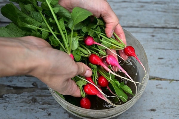 Vegetables