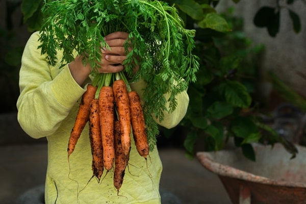 Vegetables