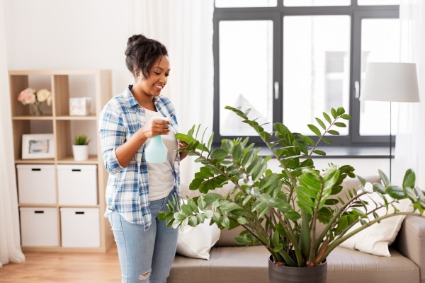 Everyday Uses of Hydrogen Peroxide