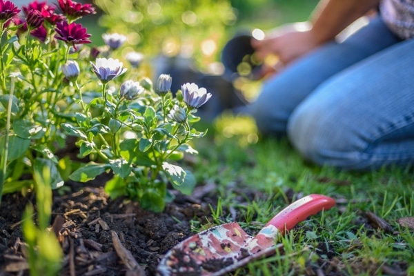 Improving Your Home’s Curb Appeal