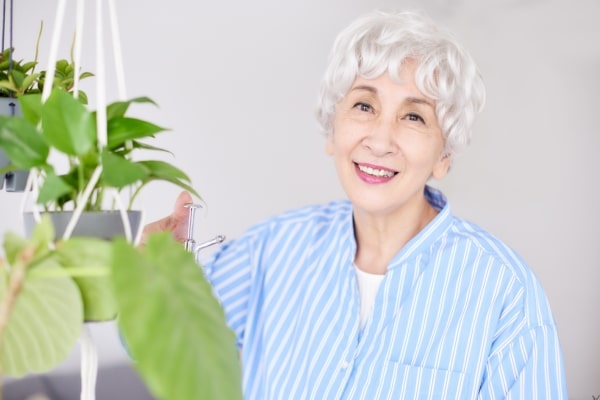 Houseplants That Clean The Air