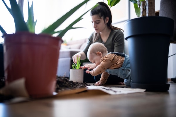 The Most Dangerous Plants to Have in Your Home